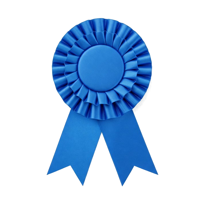Professional certification award