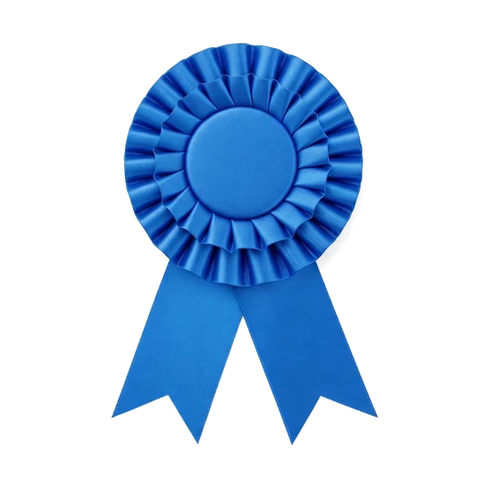 Professional certification award