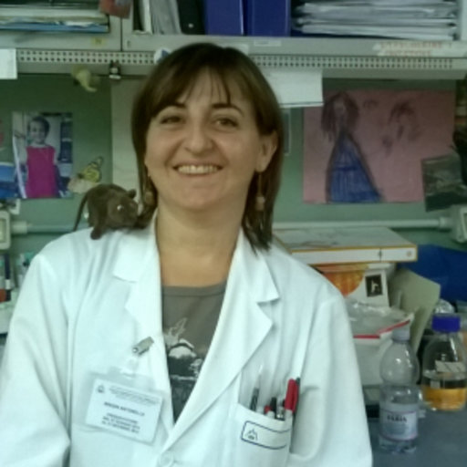 Dr Antonella Bresin