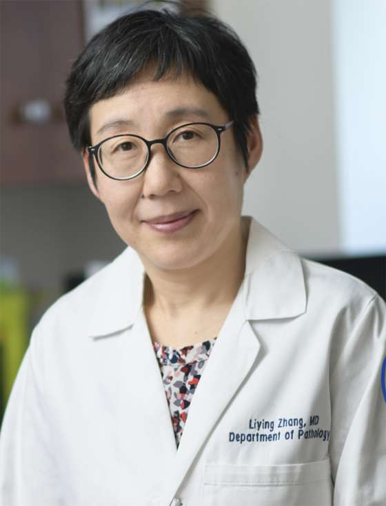 Prof. Liying Zhang
